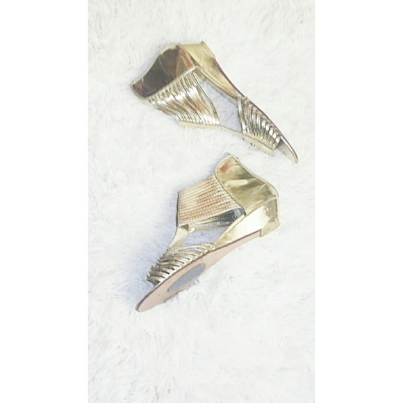 Gladiator - Picture 1 of 1